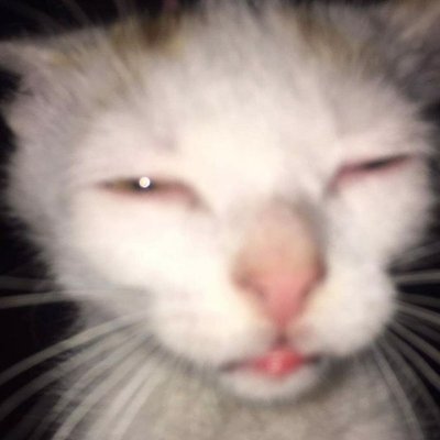 ifwmilkcake's profile picture. हम चाँद पे रोटी की चादर डालकर सो जाएँगे!!