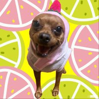 トリム@RubiksCube (@trim_exec) 's Twitter Profile