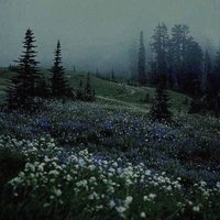 giulião_silva (@giiulia_silva) 's Twitter Profile