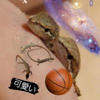 かめ (@eyrmctnjqx46407) 's Twitter Profile