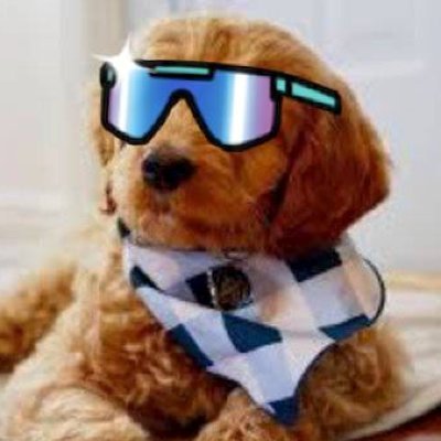 A Goldendoodle pet owner, animal lover, and nature adventurer. Stunt double for the movie