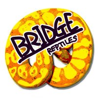 BRIDGE (@bridge_reptiles) 's Twitter Profile