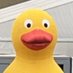Joe Morgan (@joemorganxc) Twitter profile photo Joe Morgan (@joemorganxc) Twitter profile photo