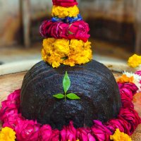 DINESH MISHRA (@dinesh_mis49066) 's Twitter Profile