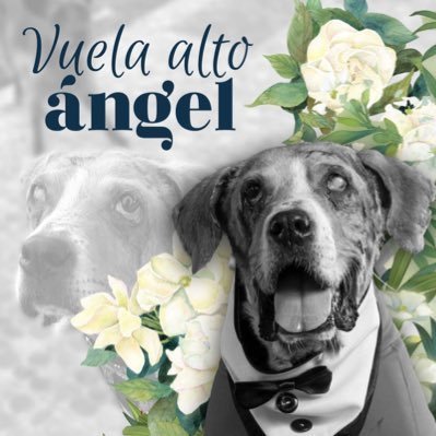 fdorodriguez10's profile picture. 