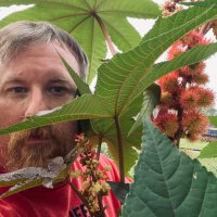 Kevin (@forensictoxguy) 's Twitter Profile Photo Kevin (@forensictoxguy) 's Twitter Profile Photo