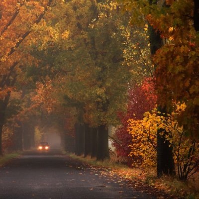 avrilschultz_'s profile picture. 