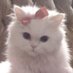 . (@jjanseixiicj) Twitter profile photo . (@jjanseixiicj) Twitter profile photo
