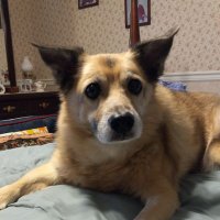 franko65 (@raiderfrank65) 's Twitter Profile