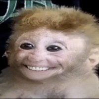 Bee :3 gay monkey (@matthewoomf) 's Twitter Profile