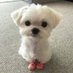르르 (@twsjjae) Twitter profile photo 르르 (@twsjjae) Twitter profile photo