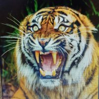 Cintra $KASPA (better than Bitcoin ) (@amigocintra1) 's Twitter Profile Photo Cintra $KASPA (better than Bitcoin ) (@amigocintra1) 's Twitter Profile Photo
