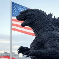 Mr Ess🇺🇸 (@raidrznation) 's Twitter Profile
