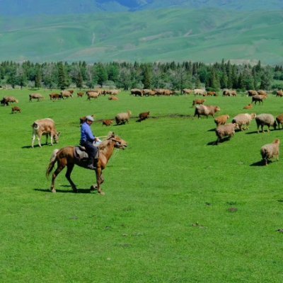 ChrisHayden1992's profile picture. As a passionate new media enthusiast, I'm all about creating captivating content. Dive into trends, stir up conversations. Let's make waves together in the Year