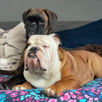 foto_vogue5700's profile picture. 