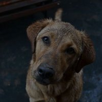 Cristian Geo (@cristiangeo7) 's Twitter Profile Photo Cristian Geo (@cristiangeo7) 's Twitter Profile Photo