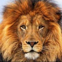 k k (@karthik08186068) 's Twitter Profile