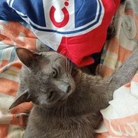 minngwc_ (@minn_97_) 's Twitter Profile