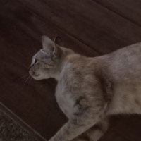jixstdy-TangcXan (@tangcxan) 's Twitter Profile Photo jixstdy-TangcXan (@tangcxan) 's Twitter Profile Photo