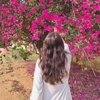 Vidhii (@vidhiii_27) 's Twitter Profile Photo Vidhii (@vidhiii_27) 's Twitter Profile Photo