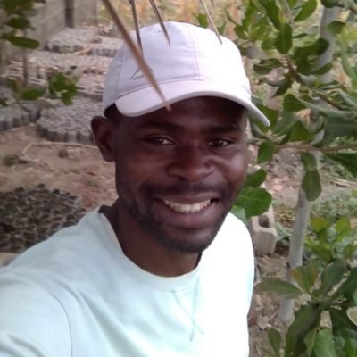 Normadicmorgul's profile picture. 😁🧡🇳🇬

Commercial farmer. cocoa farmer | sharing tips on sustainable farming and pod care. 
passionate about quality yields 🌱 follow for insights.