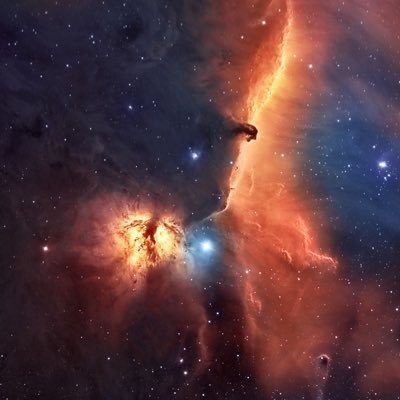 KarolMania's profile picture. BTC🤑