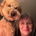 Jan Ward (@jan47632) Twitter profile photo Jan Ward (@jan47632) Twitter profile photo