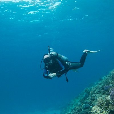 brianharson's profile picture. tea drinker, engineer, painter, reader