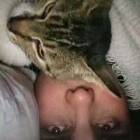Ari.a (@tecstos) 's Twitter Profile