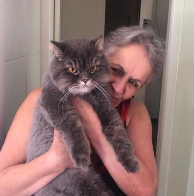 Wilmabraga47's profile picture. 