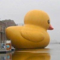 Elduckymex (@imduckymex) 's Twitter Profile Photo