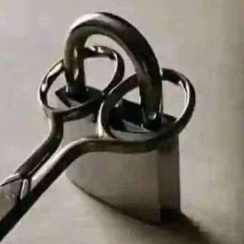 aihack789's profile picture. Data Colllector