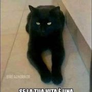 Dr Graziani (@drgraziani) 's Twitter Profile