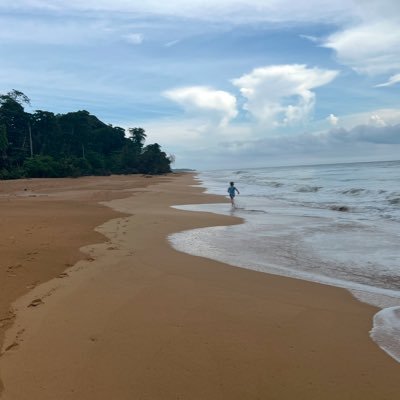 FlintstFreddy's profile picture. 