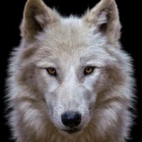 Londonsandra (@londonsandra1) 's Twitter Profile Photo