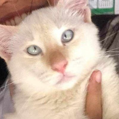 miniren26's profile picture. StepngoER