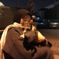 🐣 (@no_od_x) Twitter profile photo