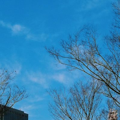 maxloveuknow's profile picture. 本当はもっと楽しい事を呟くつもりでしたが...
皆さん、いいねやリツイートをありがとうございます🍀