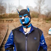 Pup_Tico 🔜 GearNDance,CockCorn,PuppyPark (@puppy_tico) 's Twitter Profile