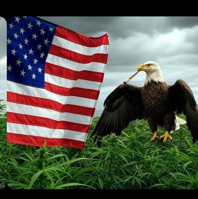 Jj21488752's profile picture. Construction by day, Trump supporter by heart, and cannabis enthusiast by night. 🧑‍🔧🇺🇸🌿 Building America, one joint at a time.