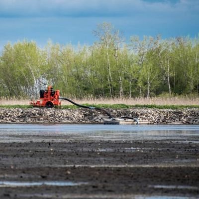 aszj_b's profile picture. 