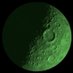 The Green Moon (@tothegreenmoon) Twitter profile photo The Green Moon (@tothegreenmoon) Twitter profile photo