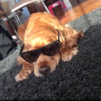 pachy (@pachy_sol) 's Twitter Profile