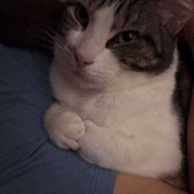 Annette_1985's profile picture. 