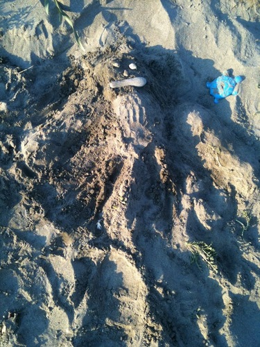 CarolinaDocu's profile picture. "Traer algo de agosto y filtrarlo en septiembre, octubre, noviembre, diciembre...
Para evitar la masacre, el agobio."