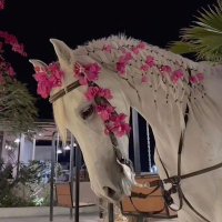 فوفيي🤍 (@salhha12283) Twitter profile photo