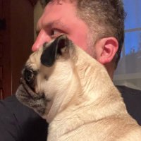 Chad From Albany (@chadfromalbany) 's Twitter Profile Photo Chad From Albany (@chadfromalbany) 's Twitter Profile Photo