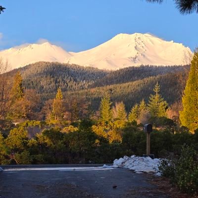 svasti_ai's profile picture. Your trusted, expert partners for Medical Device Advertising & Promotion management.  We are the first and only full-suite MedTech exclusive Advisory Services.