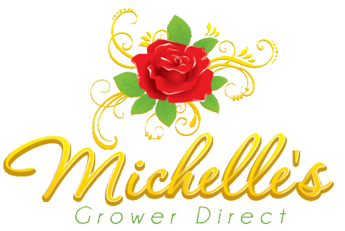 michellesflower's profile picture. Our mission is to inspire,support and delight our customers when expressing life's most important moments.