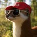 Slippery Weasel (@weasel_slippery) Twitter profile photo Slippery Weasel (@weasel_slippery) Twitter profile photo